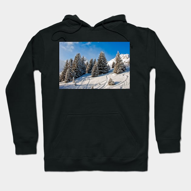 Courchevel 3 Valleys French Alps France Hoodie by AndyEvansPhotos